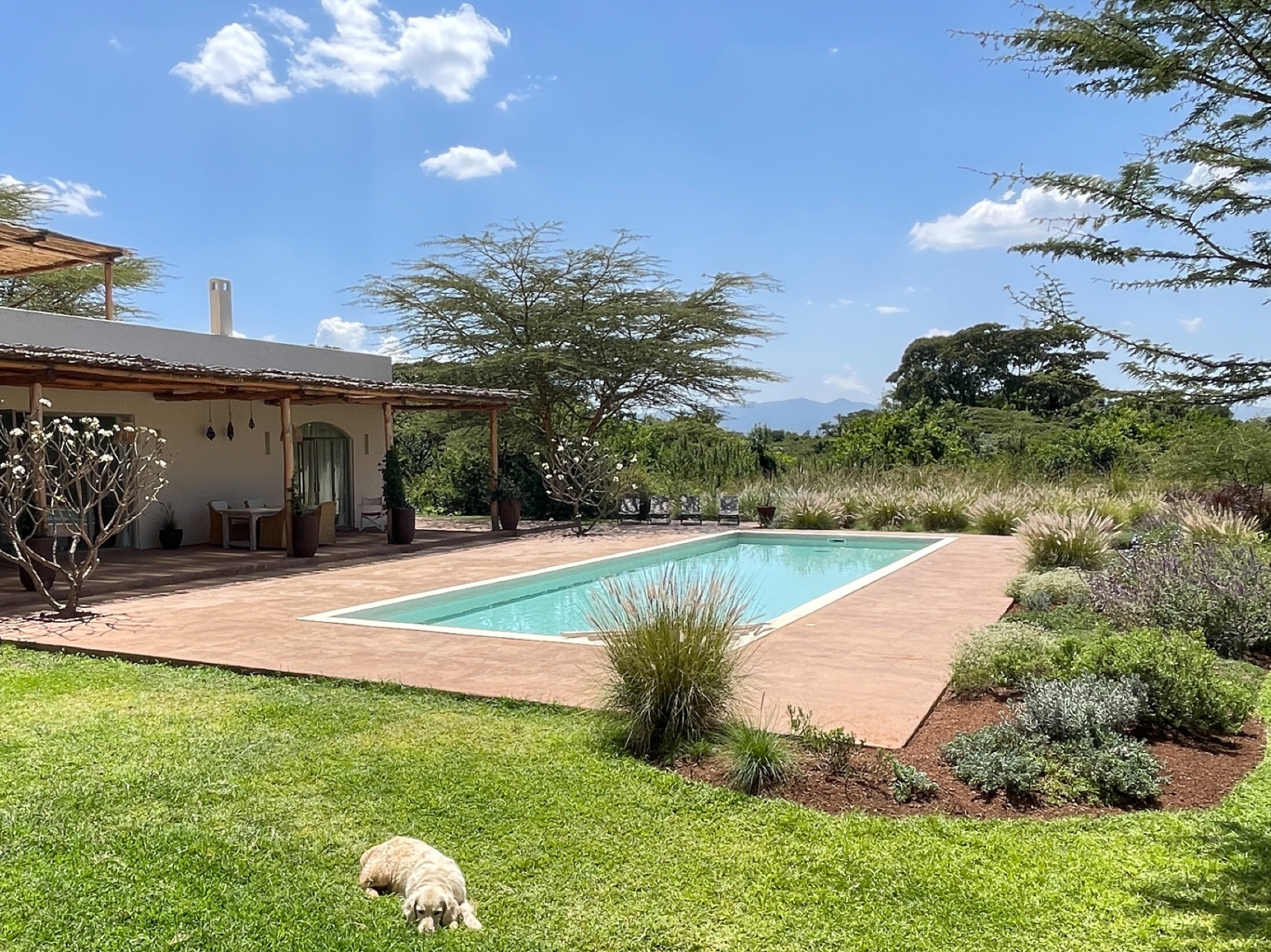Pool and garden at Arimuni